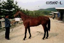 ���� (NARA) ����