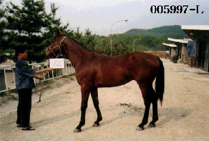 ���� ����