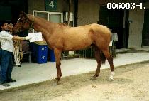 �ַ� (JURYEOK) ����