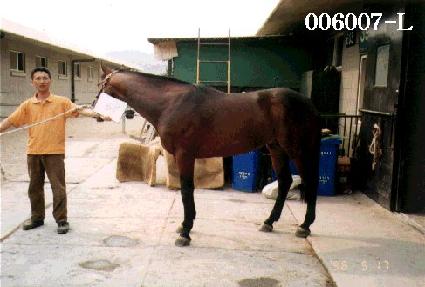 ���� ����