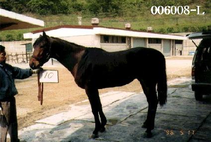 ���ڻ� ����