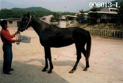 Ž�� ����