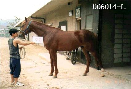 ��ǳ���� ����