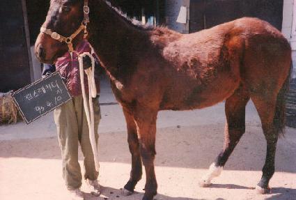 �������̵��ڸ� ����