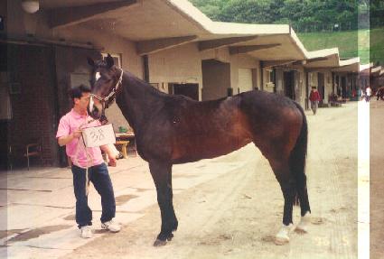 ���� ����