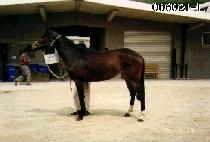 ���� (DAEJI) ����