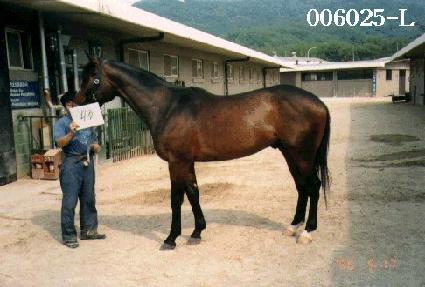 Ư�� ����