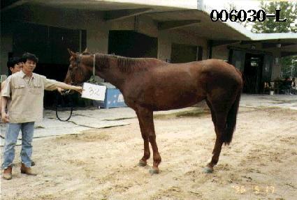 ������ ����