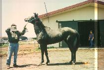 ����ȣ (DOGEUMHO) ����