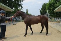 ���̿��̺��� (MY WAY BOSS) ����