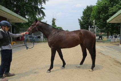 ���̿��̺��� ����