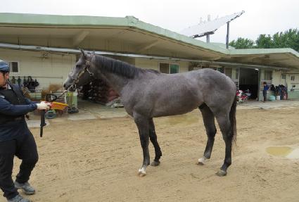 ���������� ����