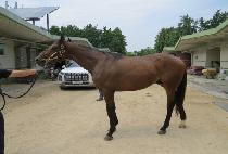 ���̽���� (NICE BRO) ����