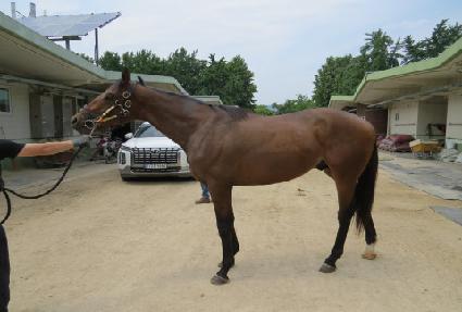 ���̽���� ����