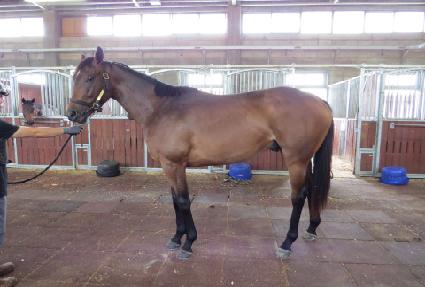 �ν� ����