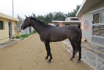 ����Ƽ���̽� (MIGHTY CHOICE) ����