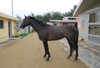 ����Ƽ���̽� ����