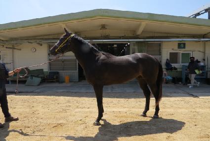 ��������� ����