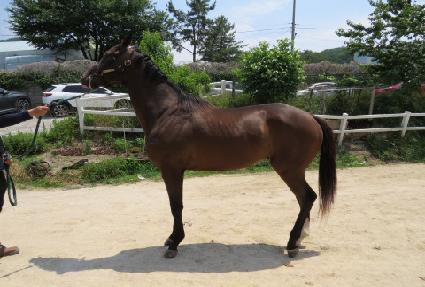 ����Ʈ ����