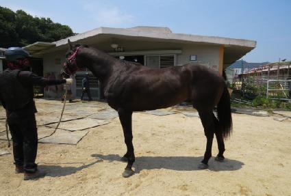 �״븸�ִٸ� ����