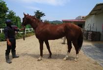 �ݾƽ��÷��� (GEUMA SPLASHY) ����