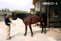 ����ȯȣ (YEONSEUNG HWANHO) ����