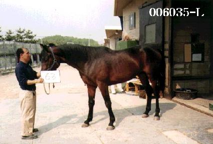 ����ȯȣ ����