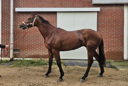 �溹��Ʈ���� ����