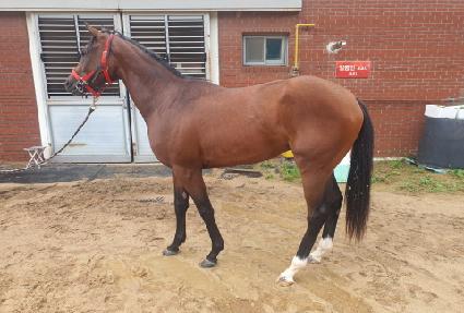 �����̼ų��� ����