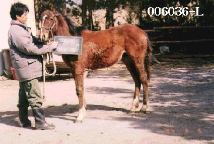 �����ڸ� ����