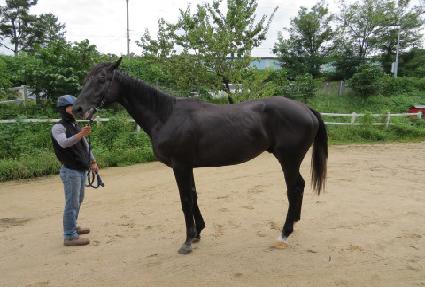 �ְ���Ʈ ����