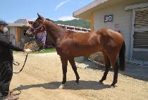 ���꺧Ʈ (NAMSAN BELT) ����