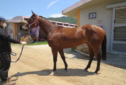 ���꺧Ʈ ����