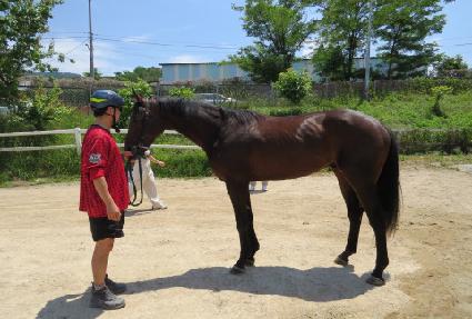 �ְ���Ʈ ����