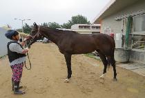 ���丮�� (VICTORY GIL) ����