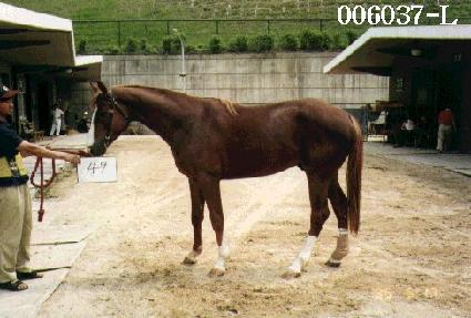 ���ѻ� ����