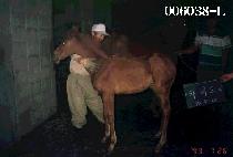 ���͵��ڸ� ����