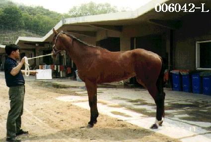 �������� ����