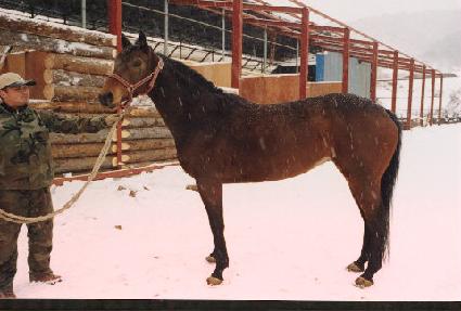 ���� ����