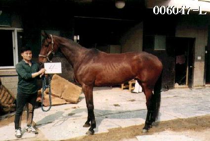 û���� ����