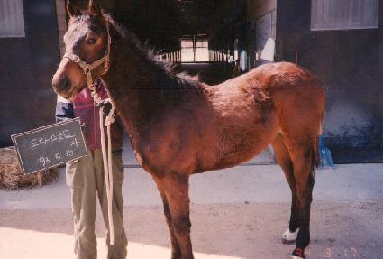 ���󽺰���ڸ� ����