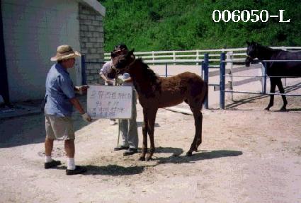 �ϱ��õ ����