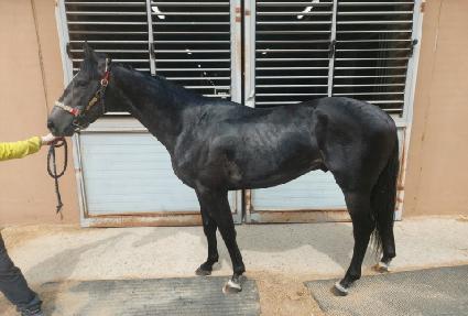 �ʰ��� ����