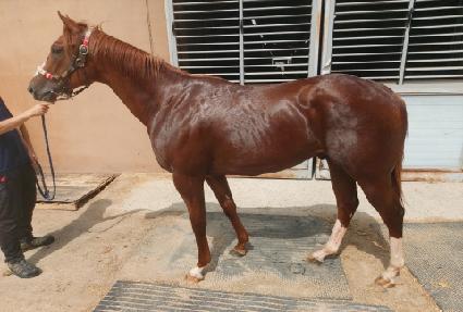 ���� ����