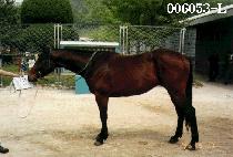 ���ٶ� (DOLBARAM) ����