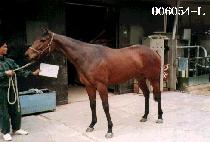 ��α⻵ (MODUGIPPEO) ����