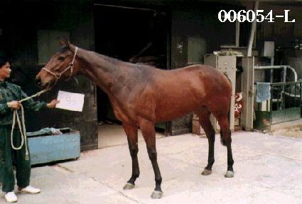 ��α⻵ ����