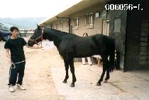 �帲 (DREAM) ����