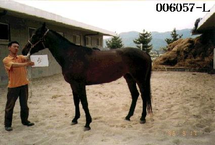 ���� ����