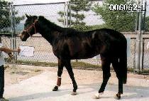 ������ (YEBONGSAN) ����